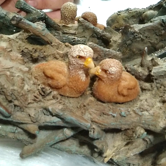LAST DROP! Antique Bald Eagle & Babies On A Tree Limb Mirror In Great Condition - Picture 3 of 10